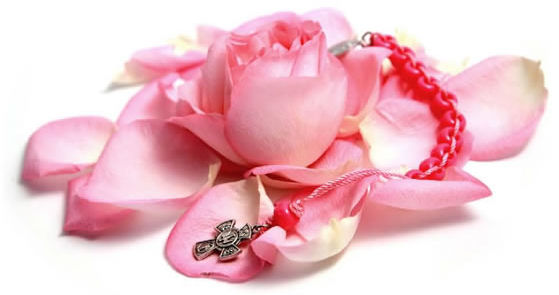 pink rose for St. Therese of Lisieux the little flower