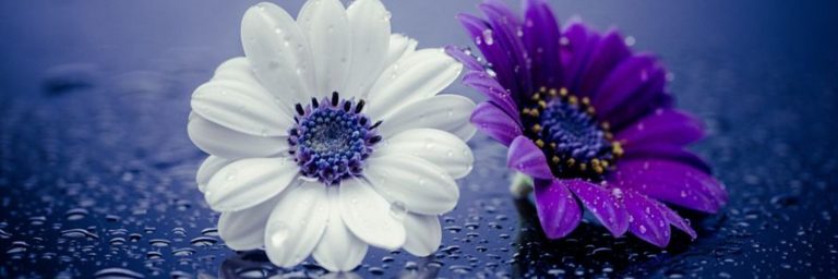 How to Bring Enchantment to An Ordinary Day