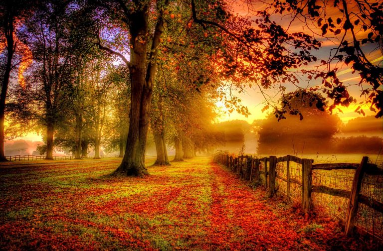 The Many Faces of Change – Seen and Unseen